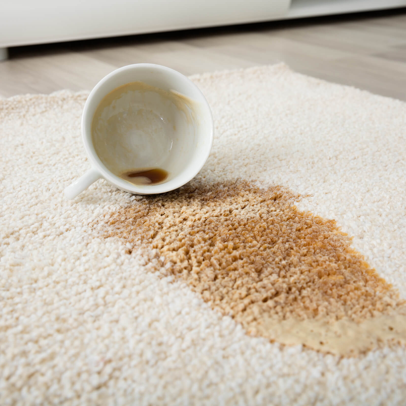 5 Signs it’s Time for a Professional Rug Cleaning