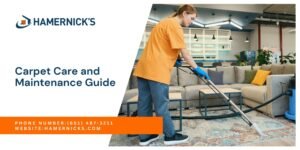 Carpet Care and Maintenance Guide